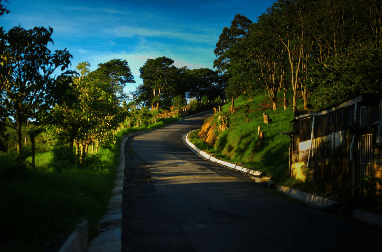 Ascenso por carretera con paisaje verde