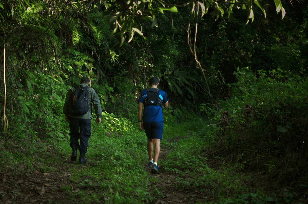 Participantes caminando por el bosque