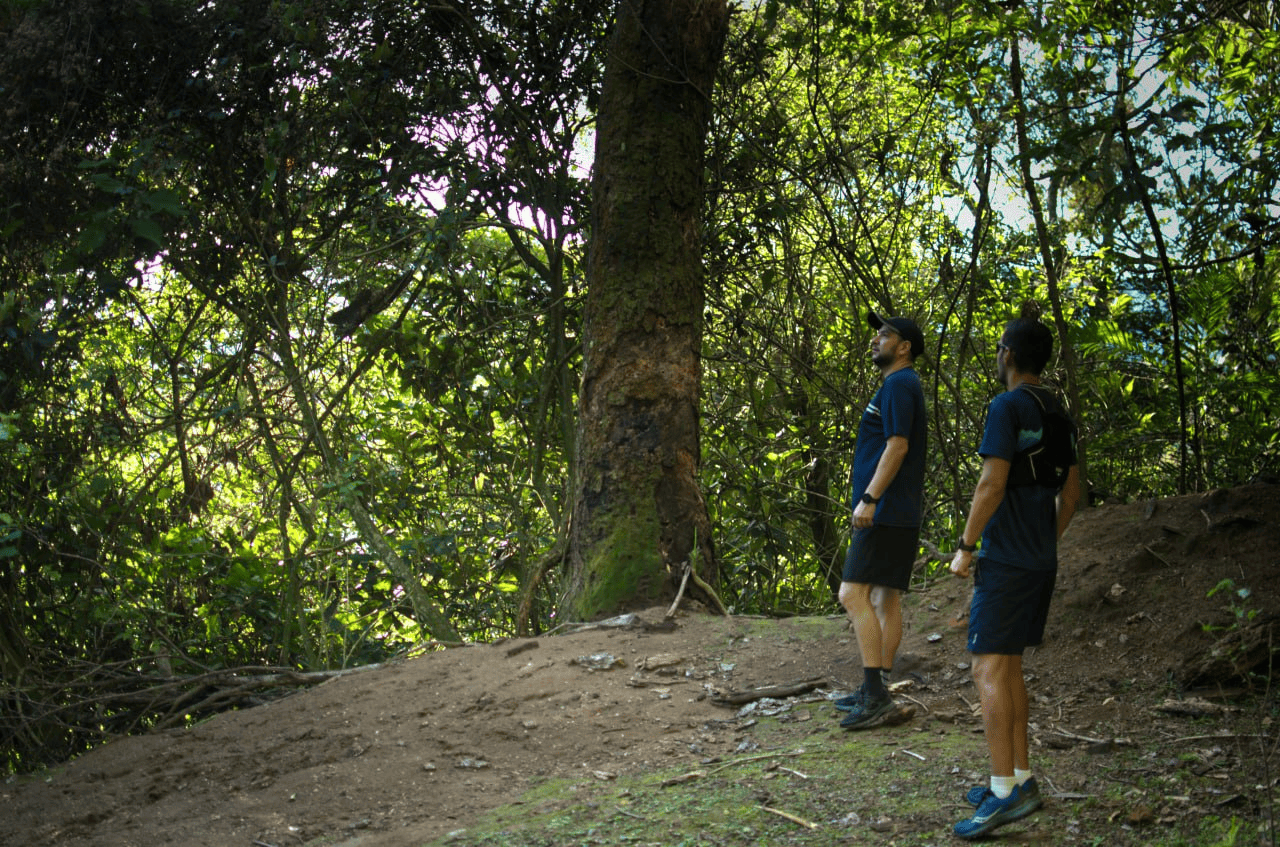 Dos personas observando el entorno en el bosque