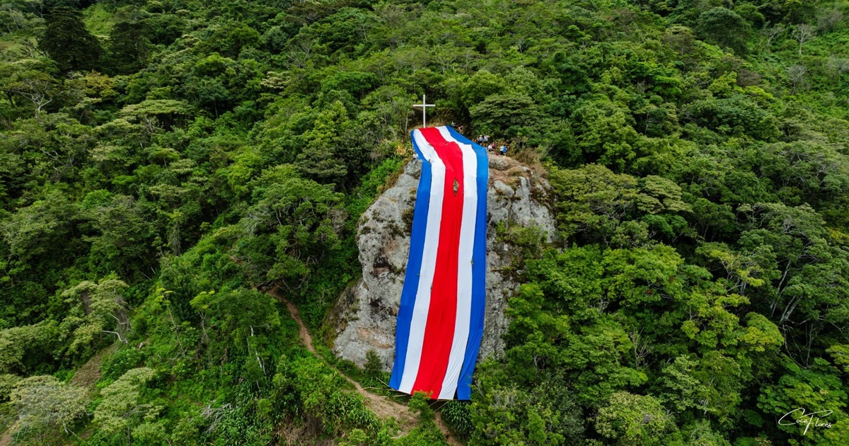 Carretera rodeada de árboles en la ruta